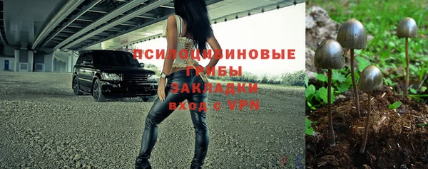 метадон Алексин