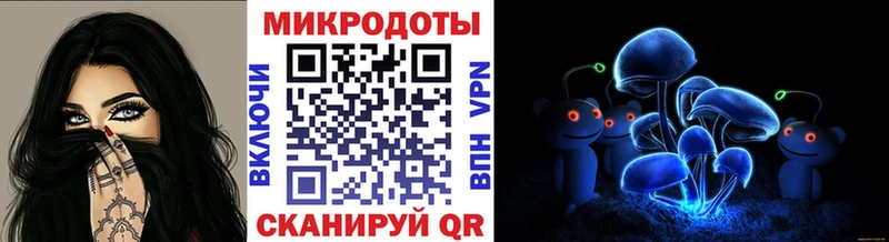 Псилоцибиновые грибы Psilocybine cubensis  Руза 